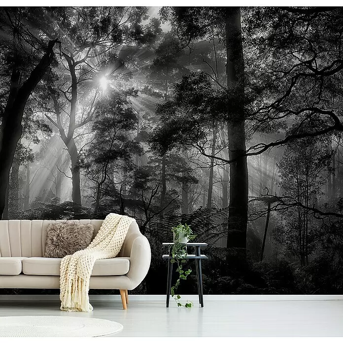 Papermoon Premium collection Fototapete Primärwald - B x H: 200 x 149 cm, Vlies - Schwarz-weiße Waldtapete mit Sonnenstrahlen, als Akzentwand hinter einem beigen Sofa und einem Beistelltisch mit Pflanze.
