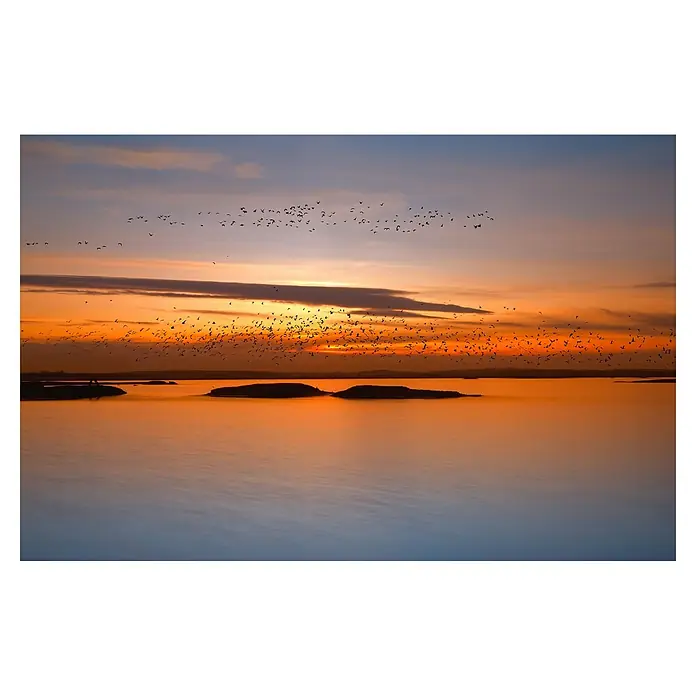 Papermoon Premium collection Fototapete Fjorde Nacht Lichter - B x H: 200 x 149 cm, Vlies - Sonnenuntergang über dem Wasser mit fliegenden Vögeln. Die warmen Farben des Himmels spiegeln sich im ruhigen Wasser und erzeugen eine friedliche Atmosphäre.