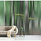 Papermoon Premium collection Fototapete Summermhering (B x H: 350 x 260 cm, Vlies) | BAUHAUS