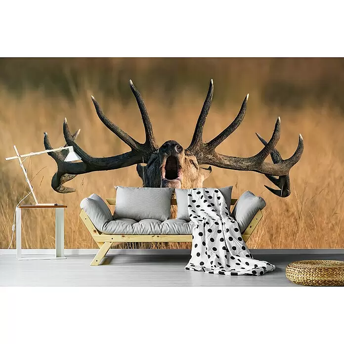 Papermoon Premium collection Fototapete Brunstschrei Hirsch - B x H: 250 x 186 cm, Vlies - Ein Holzsofa mit grauen Kissen, einer gepunkteten Decke, einem weißen Beistelltisch mit Lampe und einem gewebten Hocker in einem Wohnzimmer.
