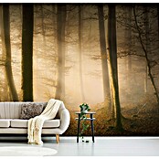 Papermoon Premium collection Fototapete November flüstert (B x H: 350 x 260 cm, Vlies) | BAUHAUS