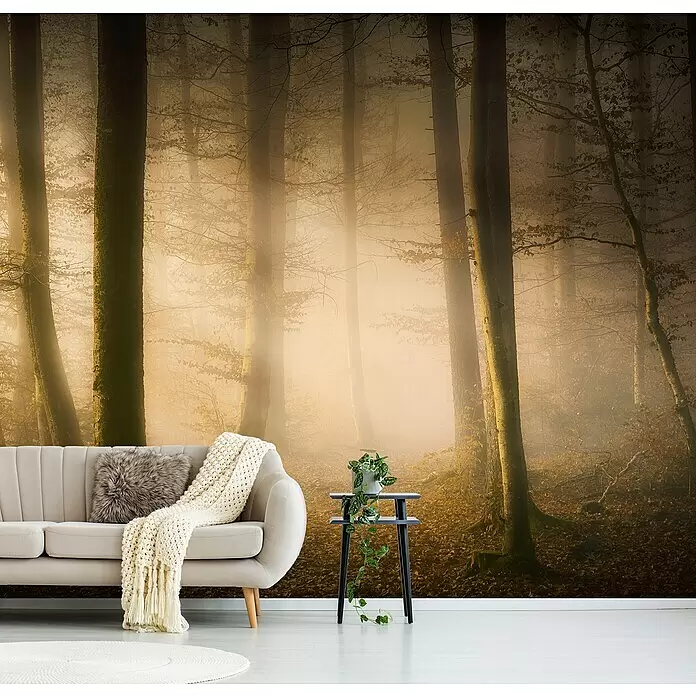 Papermoon Premium collection Fototapete November flüstert - B x H: 250 x 186 cm, Vlies - Wunderschöne Wandtapete mit einem nebelverhangenen Wald, hohen Bäumen und warmem Licht, die ein modernes Wohnzimmer verschönert.