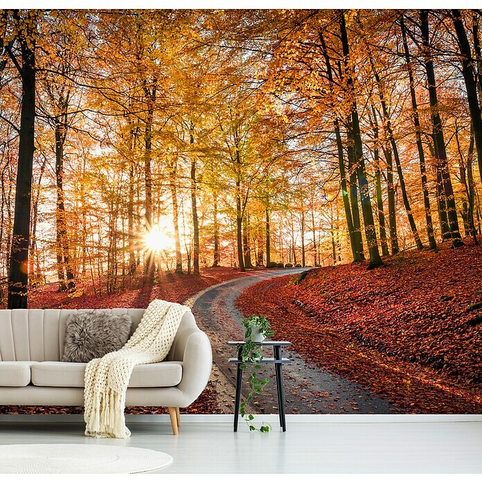 Papermoon Premium collection Fototapete Rot-goldener Herbst (B x H: 500 x  280 cm, Vlies) | BAUHAUS
