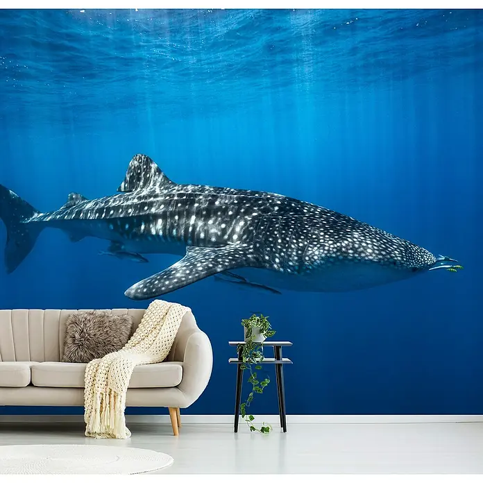 Papermoon Premium collection Fototapete Walhai in Blau - B x H: 500 x 280 cm, Vlies - Das Foto zeigt ein stilvolles Wohnzimmer mit einer Wandtapete, die einen majestätischen Walhai in tiefblauem Wasser darstellt, umgeben von modernen Möbeln.