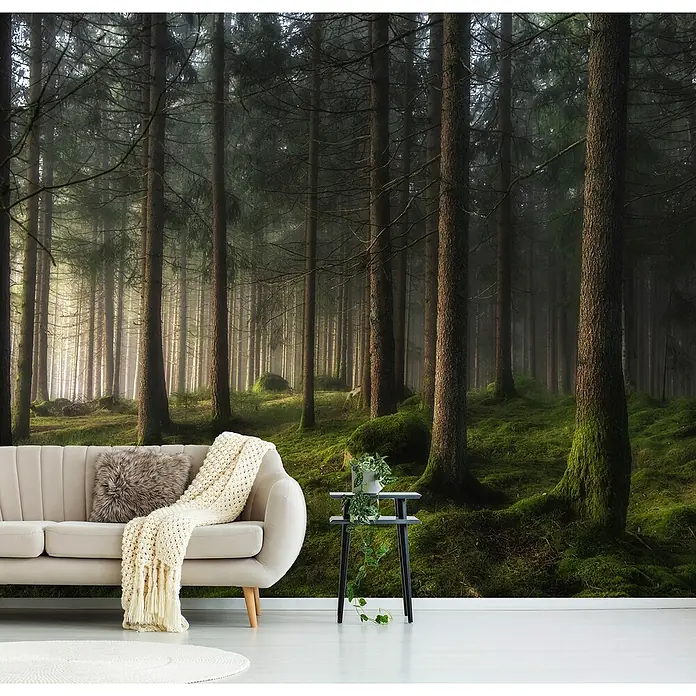 Papermoon Premium collection Fototapete Waldgeflüster Frühling - B x H: 300 x 223 cm, Vlies - Raumansicht mit einer Wandtapete, die einen dichten Wald zeigt, ein Sofa und einen Tisch. Die Tapete verleiht dem Raum eine natürliche Atmosphäre.