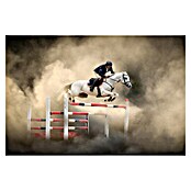 Papermoon Premium collection Fototapete Weißes Pferd (B x H: 500 x 280 cm, Vlies) | BAUHAUS