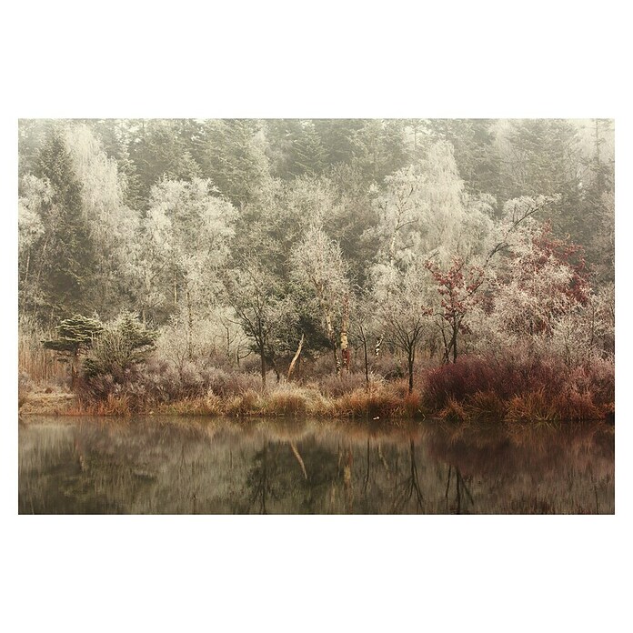 Papermoon Premium collection Fototapete Gefroren (B x H: 300 x 223 cm, Vlies) | BAUHAUS