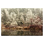 Papermoon Premium collection Fototapete Gefroren (B x H: 300 x 223 cm, Vlies) | BAUHAUS