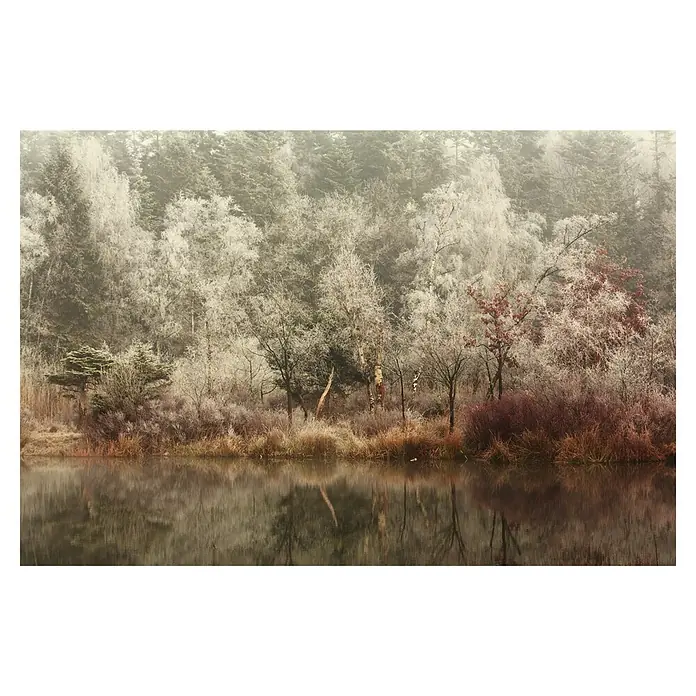 Papermoon Premium collection Fototapete Gefroren - B x H: 450 x 280 cm, Vlies - Winterliche Flusslandschaft mit vereisten Bäumen und deren Spiegelung im Wasser.