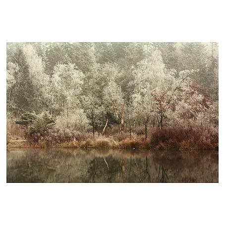 Papermoon Premium collection Fototapete Gefroren