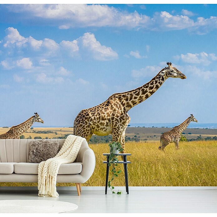 Papermoon Premium collection Fototapete Trio-Giraffen (B x H: 450 x 280 cm, Vlies) | BAUHAUS