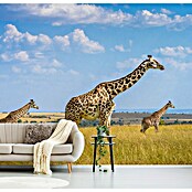 Papermoon Premium collection Fototapete Trio-Giraffen (B x H: 450 x 280 cm, Vlies) | BAUHAUS