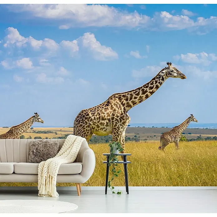 Papermoon Premium collection Fototapete Trio-Giraffen - B x H: 250 x 186 cm, Vlies - Das Foto zeigt ein Wandbild mit einem Giraffenmotiv, das in einem modernen Wohnraum mit Couchtisch und Teppich angebracht ist.