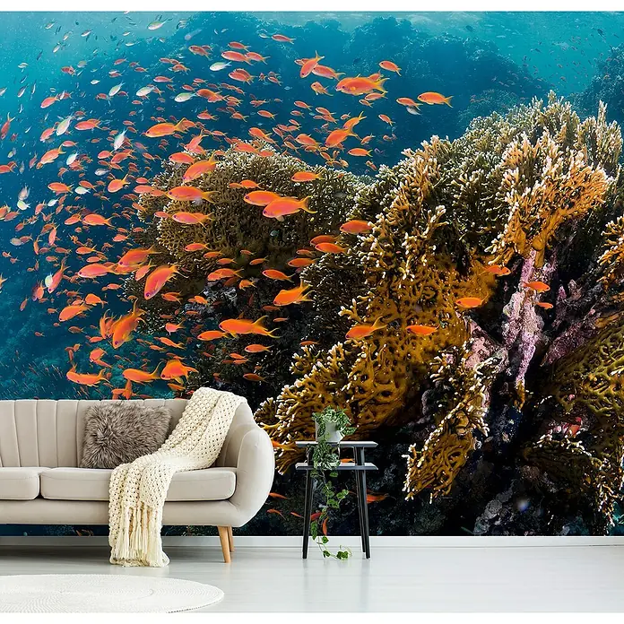 Papermoon Premium collection Fototapete Fische am Riff - B x H: 400 x 260 cm, Vlies - Wanddeko mit Korallenriff-Motiv: lebendige Farben und detailreiche Darstellung für ein einzigartiges Raumambiente.