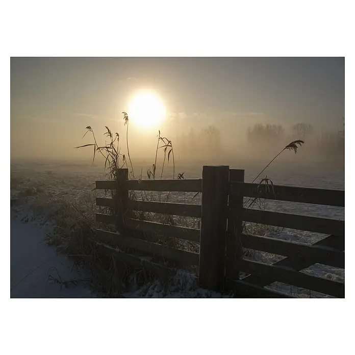 Papermoon Premium collection Fototapete Winterstimmung - B x H: 300 x 223 cm, Vlies - Winterlandschaft mit Holzzaun im Vordergrund, die von der aufgehenden Sonne in goldenes Licht getaucht wird und eine ruhige, friedliche Atmosphäre erzeugt.