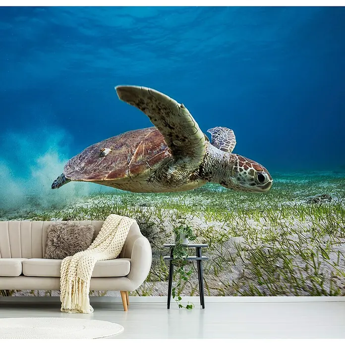 Papermoon Premium collection Fototapete Abheben - B x H: 400 x 260 cm, Vlies - Wandbild mit einem faszinierenden Meeresmotiv. Eine Meeresschildkröte schwimmt elegant durch das blaue Wasser, ein Blickfang für jeden Raum.