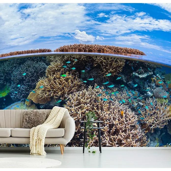 Papermoon Premium collection Fototapete Split Level Korallenriff - B x H: 350 x 260 cm, Vlies - Wandbild mit einem atemberaubenden Unterwasser-Korallenriff, das eine faszinierende Szene in Ihr Zuhause bringt.