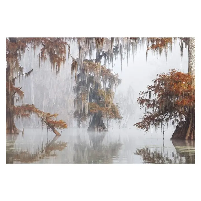 Papermoon Premium collection Fototapete Mysty Bayou - B x H: 400 x 260 cm, Vlies - Nebelverhangene Bäume spiegeln sich im ruhigen Wasser und erzeugen eine mystische Atmosphäre. Die Szene wirkt ruhig und geheimnisvoll.