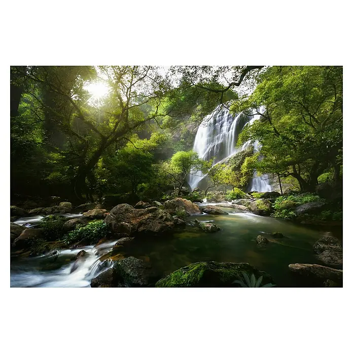Papermoon Premium collection Fototapete Gebirgsbach - B x H: 400 x 260 cm, Vlies - Idyllische Landschaft mit Wasserfall, umgeben von üppigem Grün und moosbedeckten Felsen, die Ruhe und natürliche Schönheit ausstrahlen.