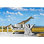 Papermoon Premium collection Fototapete Trio-Giraffen (B x H: 450 x 280 cm, Vlies) | BAUHAUS