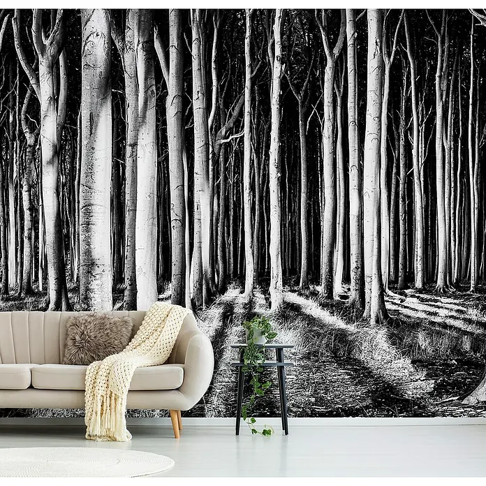 Papermoon Premium collection Fototapete Geisterwald - B x H: 300 x 223 cm, Vlies - Ein helles Sofa mit Kissen und Decke vor einer Fototapete mit Waldmotiv, ergänzt durch einen Beistelltisch mit Pflanze.