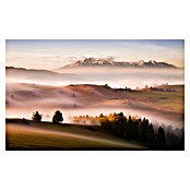 Papermoon Premium collection Fototapete Nur ein Schweigen (B x H: 350 x 260 cm, Vlies) | BAUHAUS