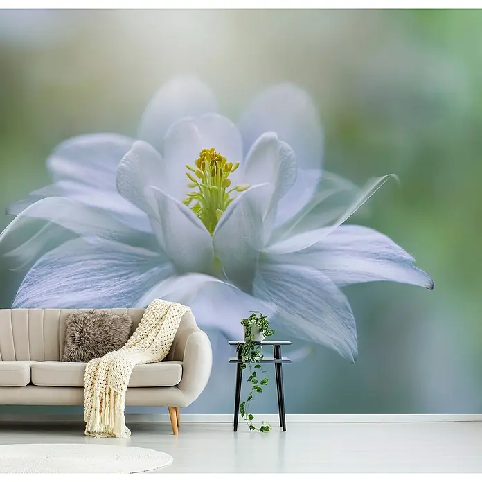Papermoon Premium collection Fototapete Reinheit - B x H: 400 x 260 cm, Vlies - Nahaufnahme einer Wandtapete mit einer zarten weißen Blüte, die über einem stilvollen Wohnzimmer mit Sofa und Beistelltisch hängt.
