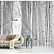 Papermoon Premium collection Fototapete Bewegungsfreiheit (B x H: 350 x 260 cm, Vlies) | BAUHAUS