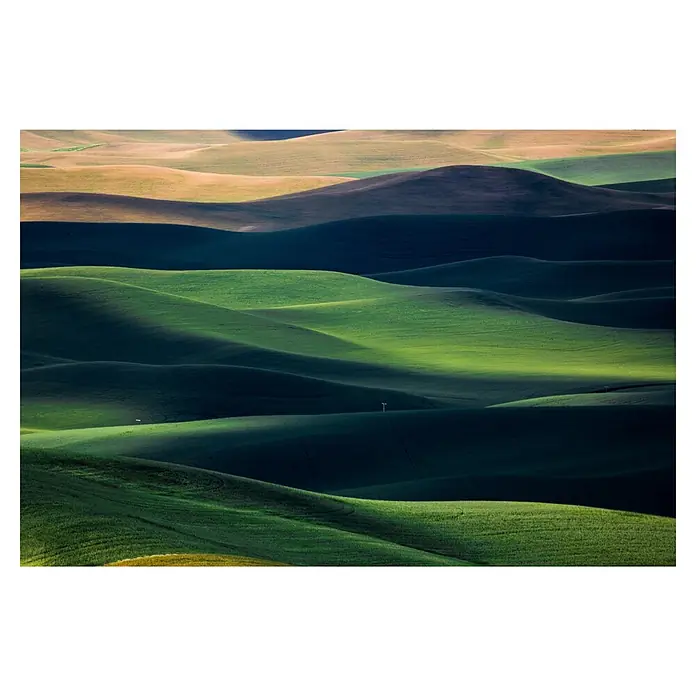 Papermoon Premium collection Fototapete Fließen - B x H: 350 x 260 cm, Vlies - Landschaft mit sanften, grünen Hügeln im Licht und Schatten, die eine ruhige und friedliche Szene erzeugen.