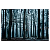 Papermoon Premium collection Fototapete Kühler Waldblick (B x H: 300 x 223 cm, Vlies) | BAUHAUS