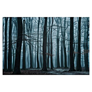 Papermoon Premium collection Fototapete Kühler Waldblick (B x H: 200 x 149 cm, Vlies)