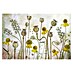 Papermoon Premium collection Fototapete Mohnblumen Helenium 