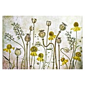 Papermoon Premium collection Fototapete Mohnblumen Helenium (B x H: 250 x 186 cm, Vlies) | BAUHAUS