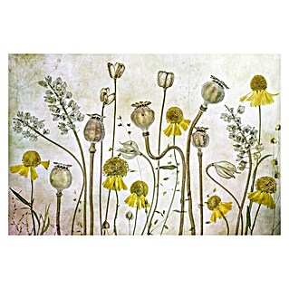 Papermoon Premium collection Fototapete Mohnblumen Helenium (B x H: 400 x 260 cm, Vlies)