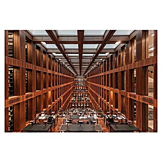 Papermoon Premium collection Fototapete Bibliothek in Berlin (B x H: 250 x 186 cm, Vlies)