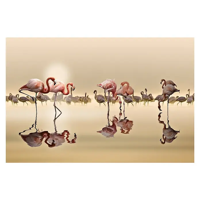 Papermoon Premium collection Fototapete Flamingo Flamingo - B x H: 250 x 186 cm, Vlies - Wunderschöne Flamingos stehen im Wasser, ihre eleganten Spiegelbilder tanzen auf der Oberfläche, während die aufgehende Sonne die Szene in ein warmes Licht taucht.