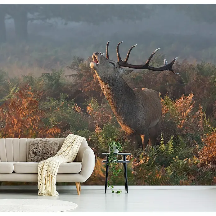Papermoon Premium collection Fototapete Belling Hafer Hirsch - B x H: 250 x 186 cm, Vlies - Ein Hirsch-Fototapete ziert eine Wand hinter einem bequemen Sofa und einem Beistelltisch mit einer Pflanze, die eine gemütliche Atmosphäre schafft.