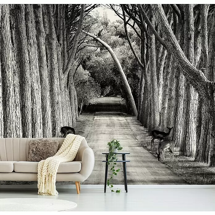 Papermoon Premium collection Fototapete Graue Allee - B x H: 300 x 223 cm, Vlies - Schwarz-weiß Waldtapete mit Pfad und Hirschen, als immersive Kulisse für ein Wohnzimmer.