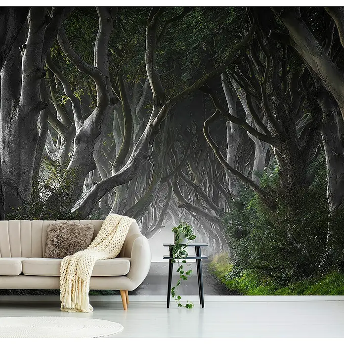 Papermoon Premium collection Fototapete Dunkle Hedges - B x H: 250 x 186 cm, Vlies - Einrichtungsidee mit einer Fototapete, die eine Baumallee zeigt, die eine stimmungsvolle Atmosphäre in den Raum bringt.