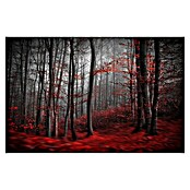 Papermoon Premium collection Fototapete Blutiger Forrest (B x H: 450 x 280 cm, Vlies) | BAUHAUS