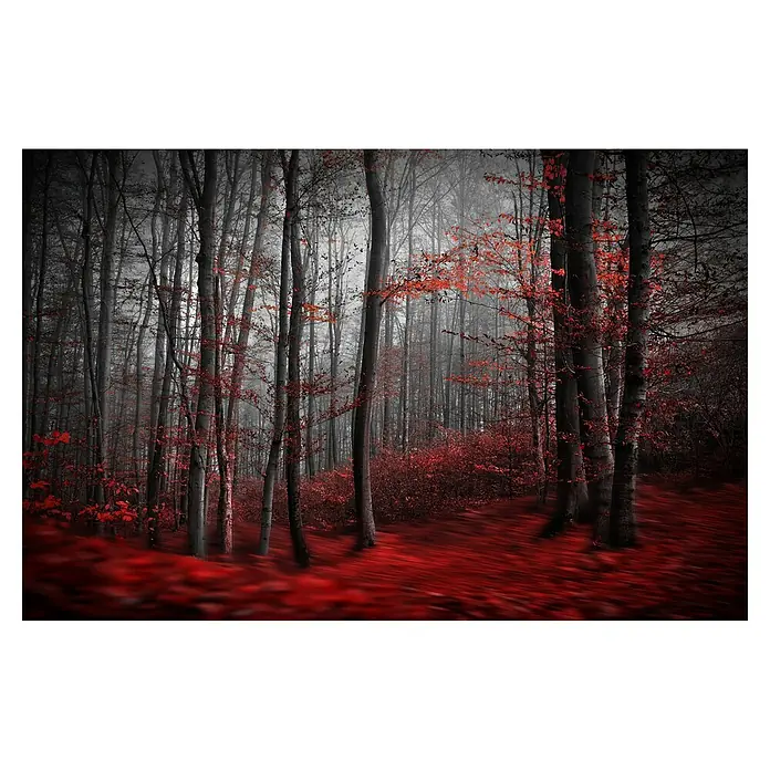 Papermoon Premium collection Fototapete Blutiger Forrest - B x H: 200 x 149 cm, Vlies - Mystischer Wald im Herbst: Dunkle Baumstämme und leuchtend rote Blätter erzeugen eine geheimnisvolle, fast unheimliche Atmosphäre.