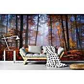 Papermoon Premium collection Fototapete Oktober Trail (B x H: 450 x 280 cm, Vlies) | BAUHAUS