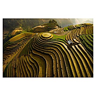 Papermoon Premium collection Fototapete Mu Cang Chai Vietnam (B x H: 300 x 223 cm, Vlies)