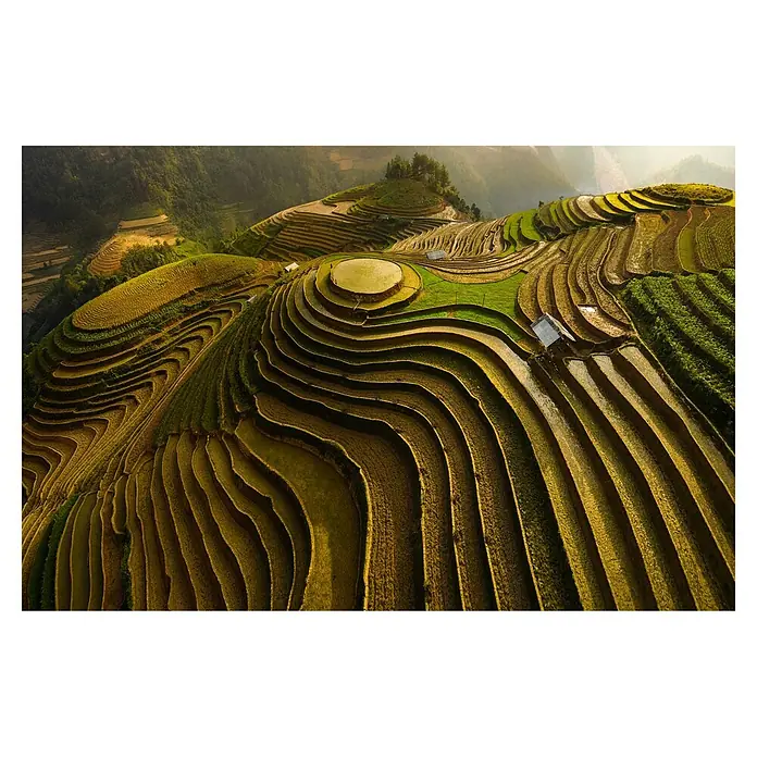Papermoon Premium collection Fototapete Mu Cang Chai Vietnam - B x H: 400 x 260 cm, Vlies - Terrassenförmig angelegte Reisfelder in Vietnam, die sich an den Hügeln entlangziehen und ein faszinierendes Muster in der Landschaft bilden.