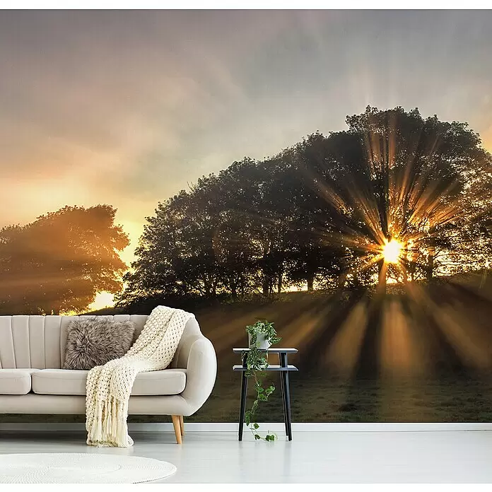 Papermoon Premium collection Fototapete Bäume Sonnenstr. - B x H: 350 x 260 cm, Vlies - Wandtapete mit Wald bei Sonnenaufgang/Sonnenuntergang und hellen Sonnenstrahlen durch die Bäume.
