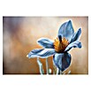 Papermoon Premium collection Fototapete Pasque (B x H: 300 x 223 cm, Vlies) | BAUHAUS