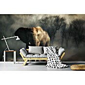 Papermoon Premium collection Fototapete Elefant Trinkwasser (B x H: 250 x 186 cm, Vlies) | BAUHAUS