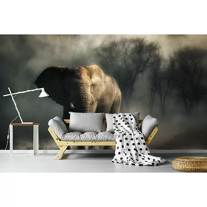 Papermoon Premium collection Fototapete Elefant Trinkwasser - B x H: 250 x 186 cm, Vlies - Ein Raum mit einem minimalistischen Holzsofa mit grauen Kissen und einem großen Wandbild eines Elefanten in einem nebligen Wald.