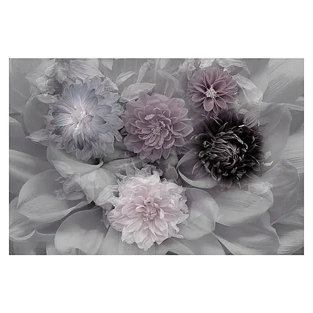 Papermoon Premium collection Fototapete Dahlia Dream