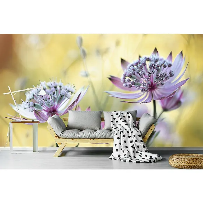 Papermoon Premium collection Fototapete Astrantia-Major - B x H: 250 x 186 cm, Vlies - Wanddekor mit floralem Muster, das eine entspannende Atmosphäre schafft. Das helle Farbenspiel belebt jeden Raum und sorgt für ein angenehmes Ambiente.